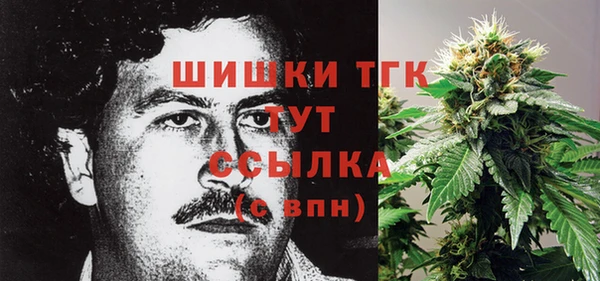 стаф Пересвет